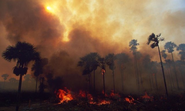 Brazil Menyelesaikan Kebakaran Hutan Amazon